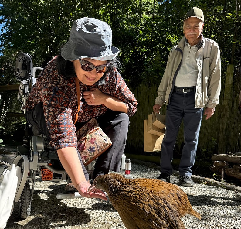 Woman in a wheelchair feeding a native New Zealand bird in a natural setting