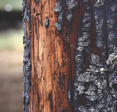 After the fire