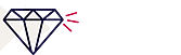 Asset Protection Icon