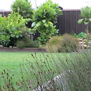 Waimarama - Alexia Hamelink - Landscape Architect
