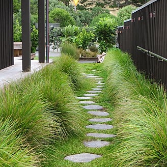 Waimarama Alexia Hamelink - Landscape Designer