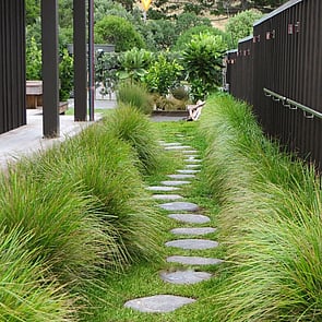 Waimarama Alexia Hamelink - Landscape Designer