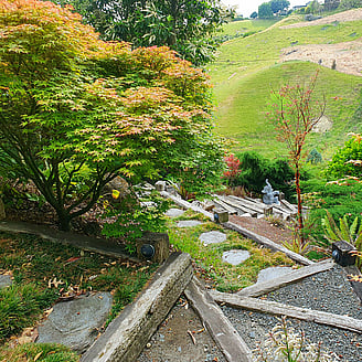 Beautiful landscaping