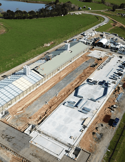 IQ Security Projects