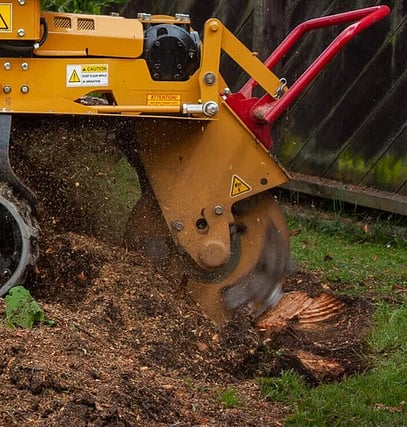 stump grinder operator grinding a stump on a residential property