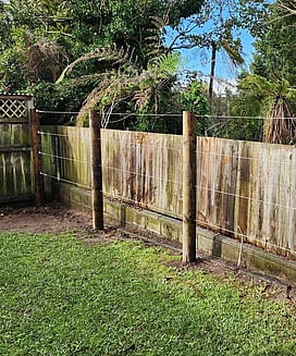 Photo of posts and wire lines built to create an espalier. 