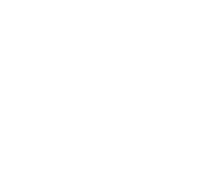 icon of quality 