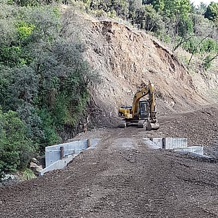 Hawke's Bay Forest Bridge, inserting a new bridge in Hastings Forest, Hawke's Bay Forest Bridge, Landscaping Hawke's Bay