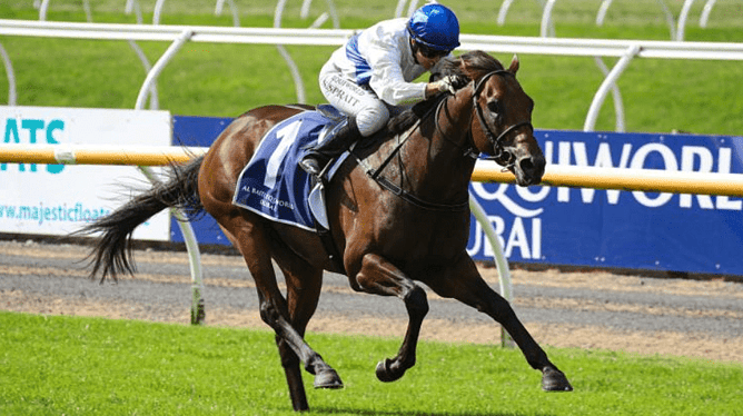Savaglee winning the Gr.1 New Zealand 2000 Guineas (1600m).  - Photo: Race Images