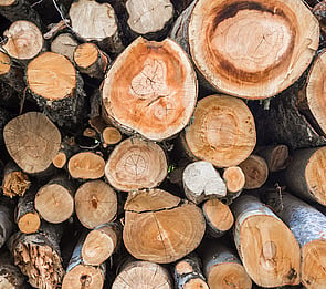Firewood Hamilton
