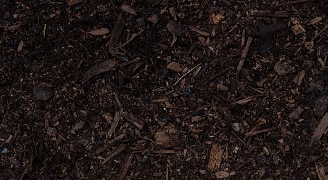 Compost
