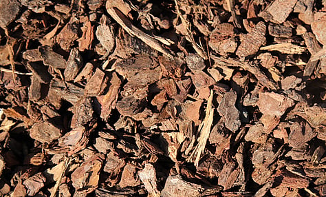 Decorative Bark