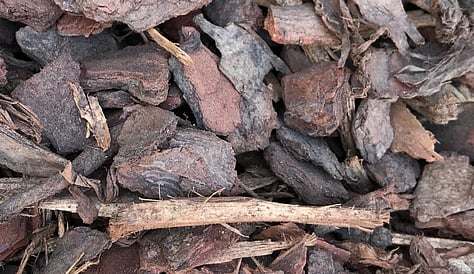 Nugget Bark