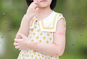 Insect Repellent