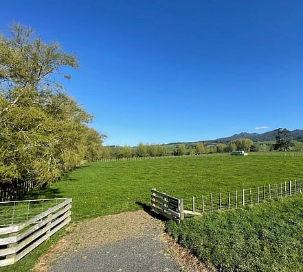 Image green sectioned paddock. 97 Corcoran Road, Te Pahu House & Land Package available with Waikato residential builders, Whitechurch Construction Limited. New Zealand