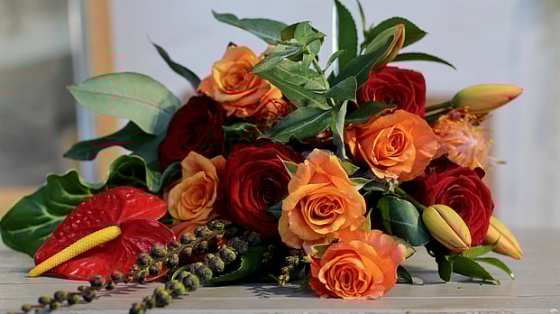 shop luxury flowers by Raglan Florist Wild About Eve