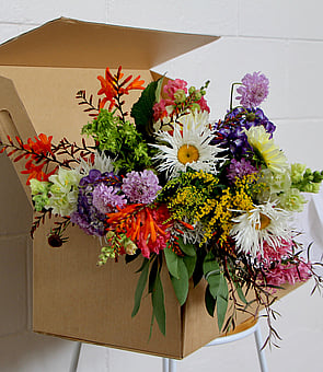 The Flower Club subscription flowers by Raglan Florist Wild About Eve