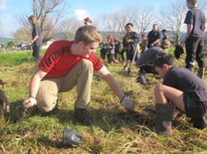 Community & Engagement