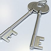 PROFESSIONAL SERVICES