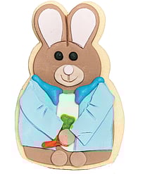 Gender Reveal Parties