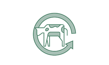 Effluent Management Plan