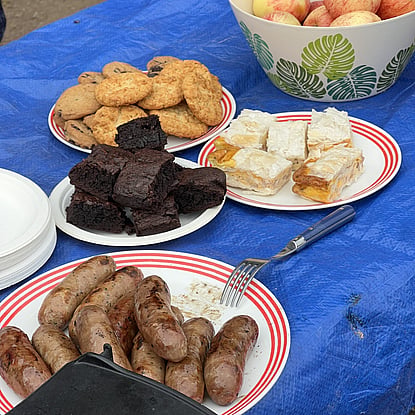 BBQ picnic lunch