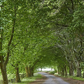 Hodderville Farms in South Waikato