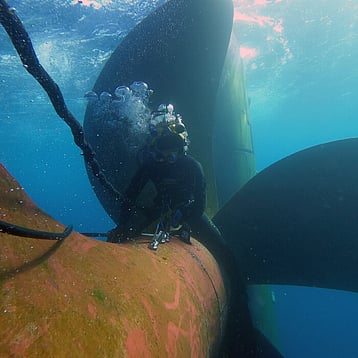 surveys & inspections