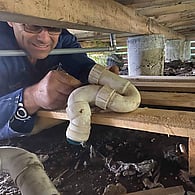 Person fixing plumbing