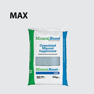MineralBoost Max Product Bag