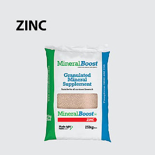 MineralBoost Zinc Product Bag