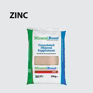 MineralBoost Zinc Product Bag