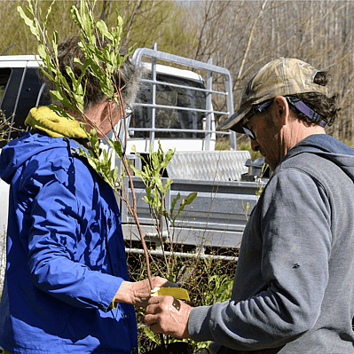 Two people holding a plant at the Mangapakeha Poplar Workshop