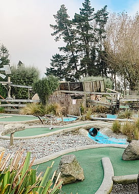 Friendly Farmyard Animals at The Shearer's Quarters, Mini Golf Course in Timaru, Family Fun at The Shearer's Quarters, 