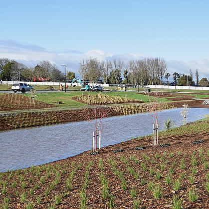 civil native planting in residential development, Cambridge