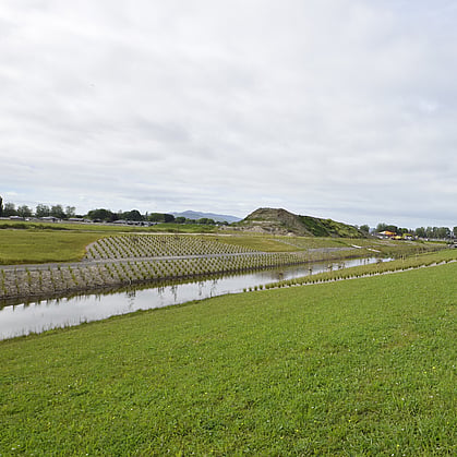 quality landscaping Cambridge, Waikato