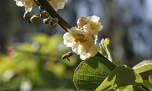 Opotiki accommodation nature