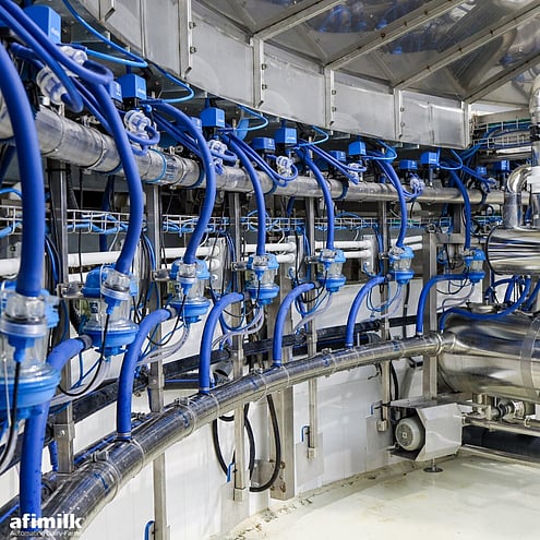 AfiAutomation Services and Supply Waikato - Ace Electrical