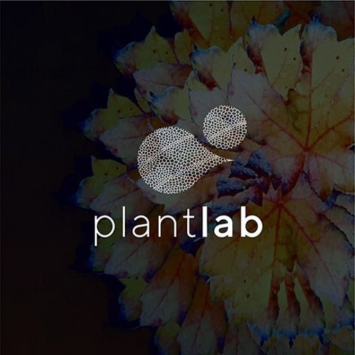 Event logo design