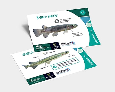 Educational resources design
