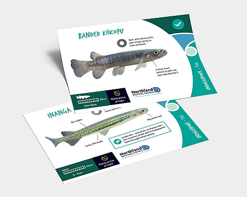 Educational resources design