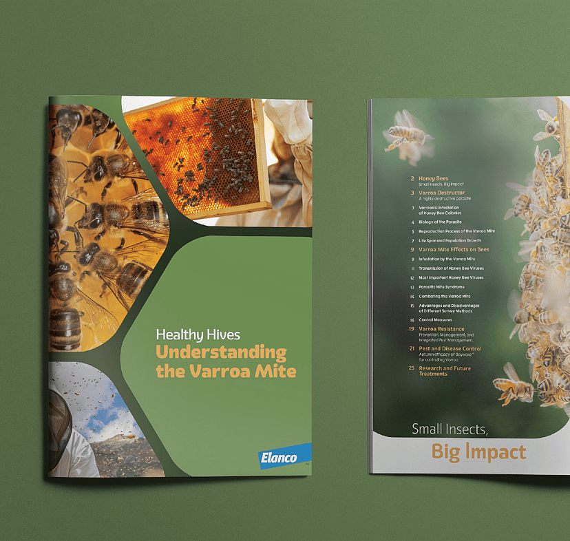 Brochure design for Elanco New Zealand showing front cover and one inside page with photos of bees.