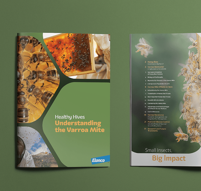 Brochure design for Elanco New Zealand showing front cover and one inside page with photos of bees.