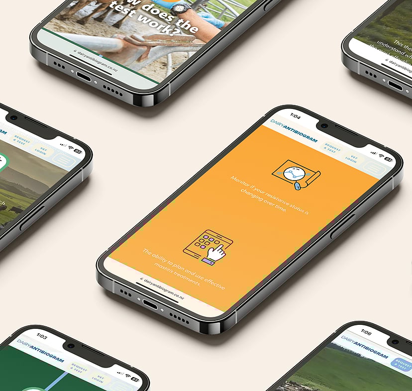 Multiple smartphones displaying  the Dairy Antibiogram website, featuring eye-catching colours and a journey of discovery.