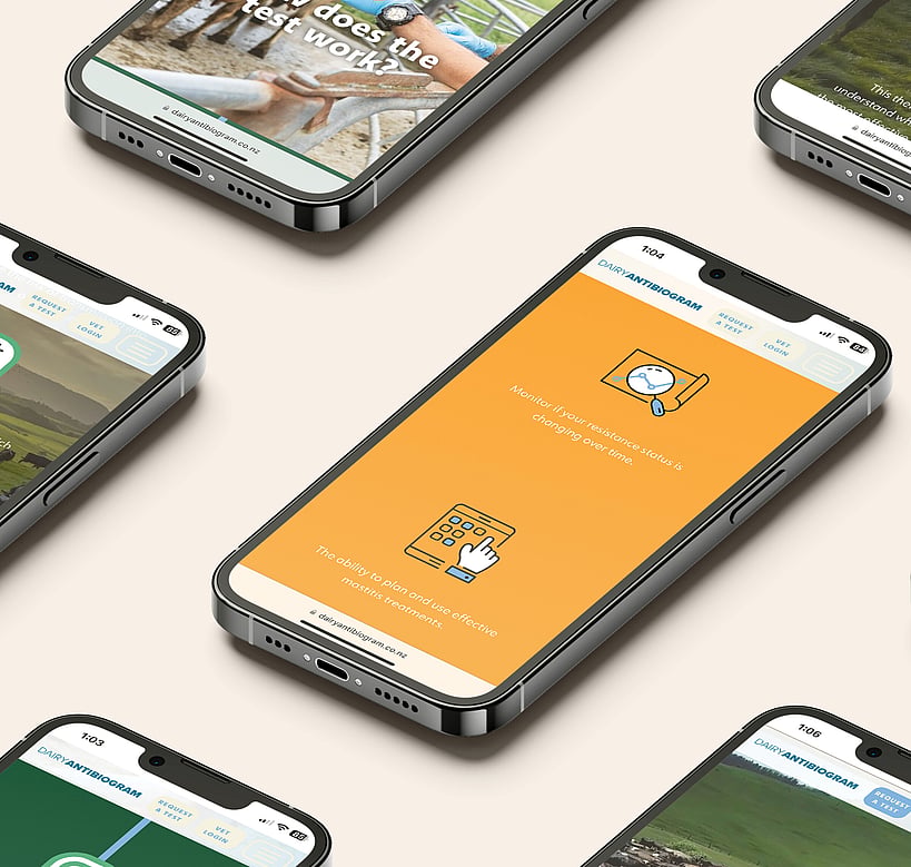 Multiple smartphones displaying the Dairy Antibiogram website, featuring eye-catching colours and a journey of discovery.