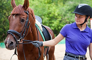 Sponsor a Horse