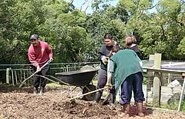 Vocational Programme