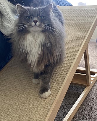 Height Adjustable Ramp