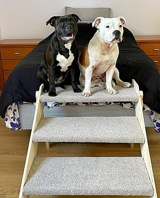 Pet Stairs