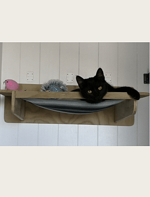 Outdoor Cat Hammock